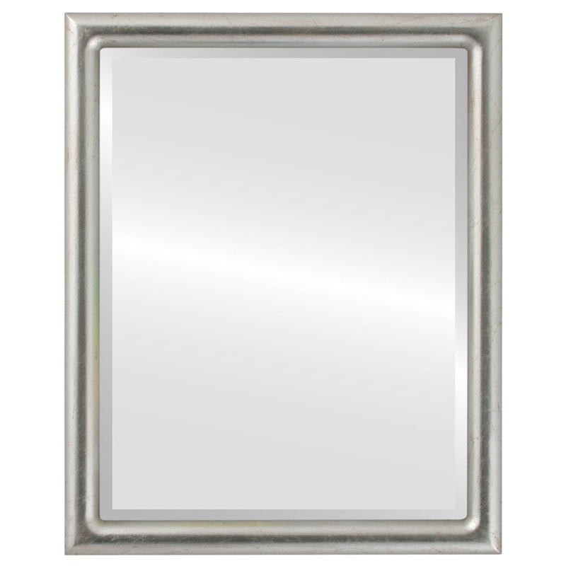 Rowles Rectangle Mirror, Silver Leaf/Brown Antique, 25.375" x 19.375"