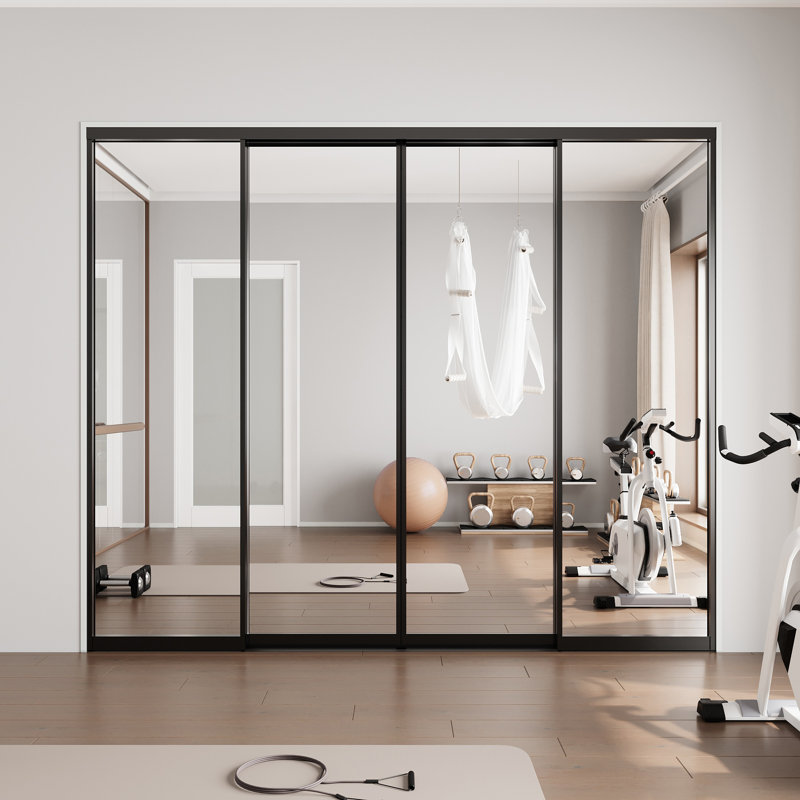 Double Aluminlum Mirror 80'' Single Glass Pane Metallic Sliding Closet Doors, 96" x 80", Black