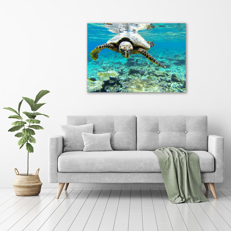 Sea Turtle - Unframed Art Prints on Glass