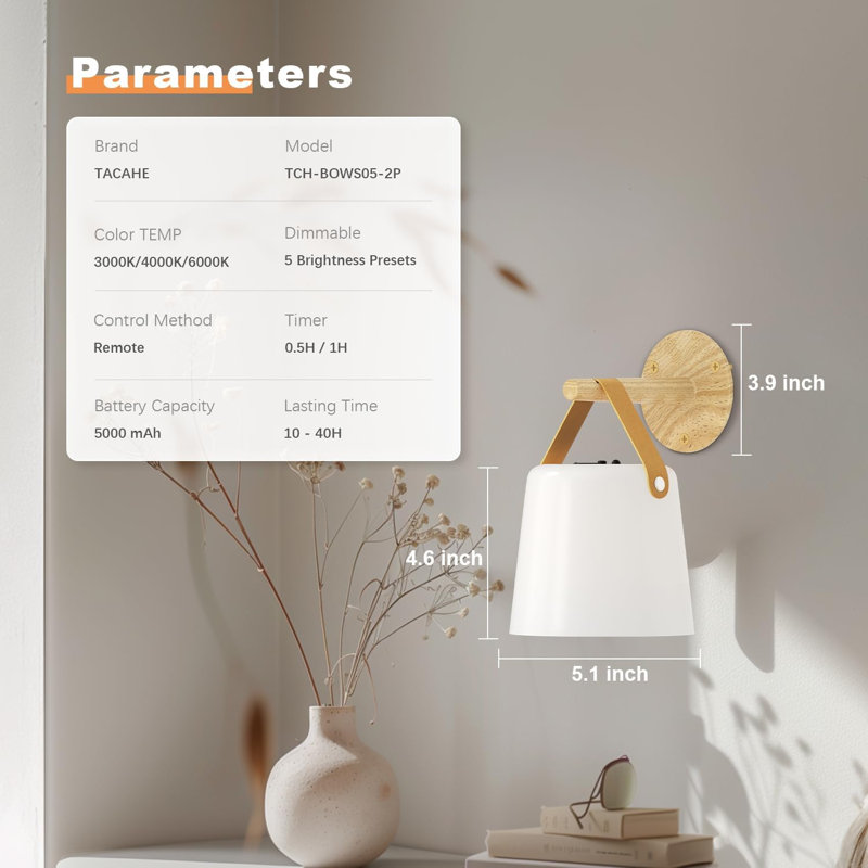 Acrylic Flush Mounted Sconce