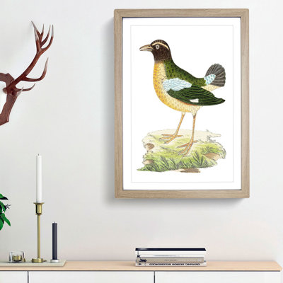 Green Crow by George Shaw - Framed Print