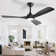 52 Inch  Outdoor Fan Light Dimmable Remote APP Control