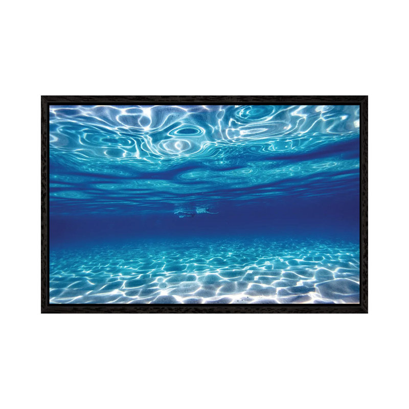 Swim In Blue by Sean Davey - Floater Frame Gallery-Wrapped Canvas Giclée on Canvas, 45.72 cm H x 66.04 cm W, Black