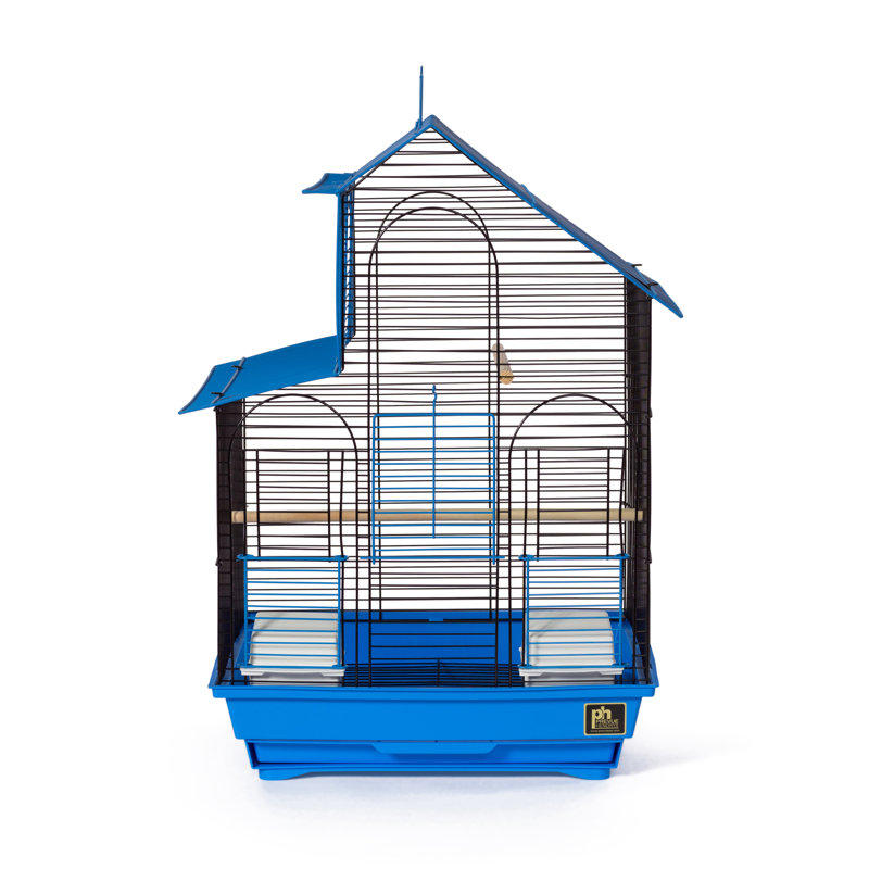 Cage à oiseaux avec perchoir 24 po, Bleu / noir