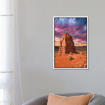 Desert Beauty by Mark Paulda - Print on Canvas