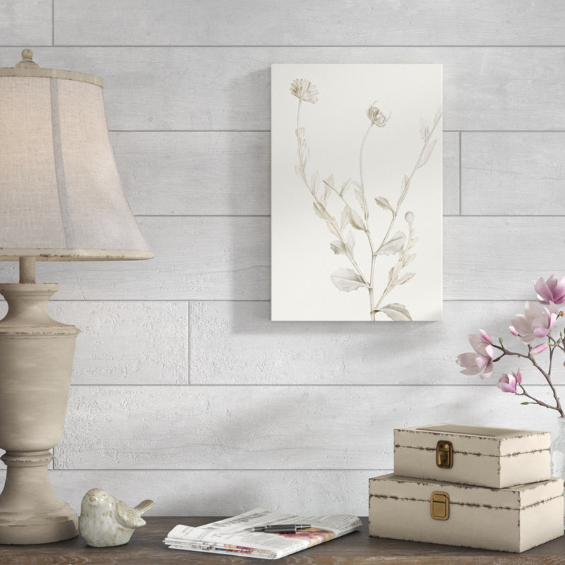 Neutral Botanical Study IV by Vision Studio - Painting Print, 46cm H x 30cm W, Wrapped Canvas