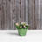 Alaunah Pot Planter-840690748-840690751