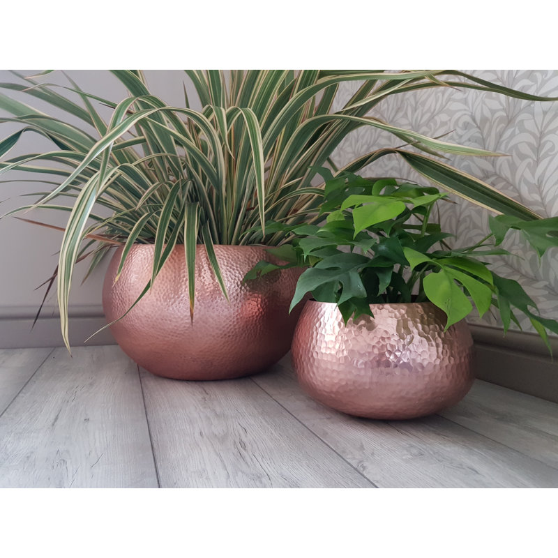 Shawnda Metal Pot Planter
