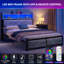 Storage Bed-767658017