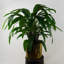 60cm Faux Plant in Pot Liner