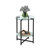 Ixchell Glass Top End Table-440873628