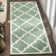 Roan Trellis Wool Hand Woven Area Rug
