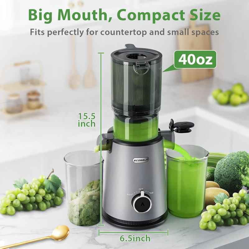 ECOSELF Cold Press Juicer with 4.35" Large Feed Chute Fit Whole Fruits and Vegetables & Easy to Clean, Silver