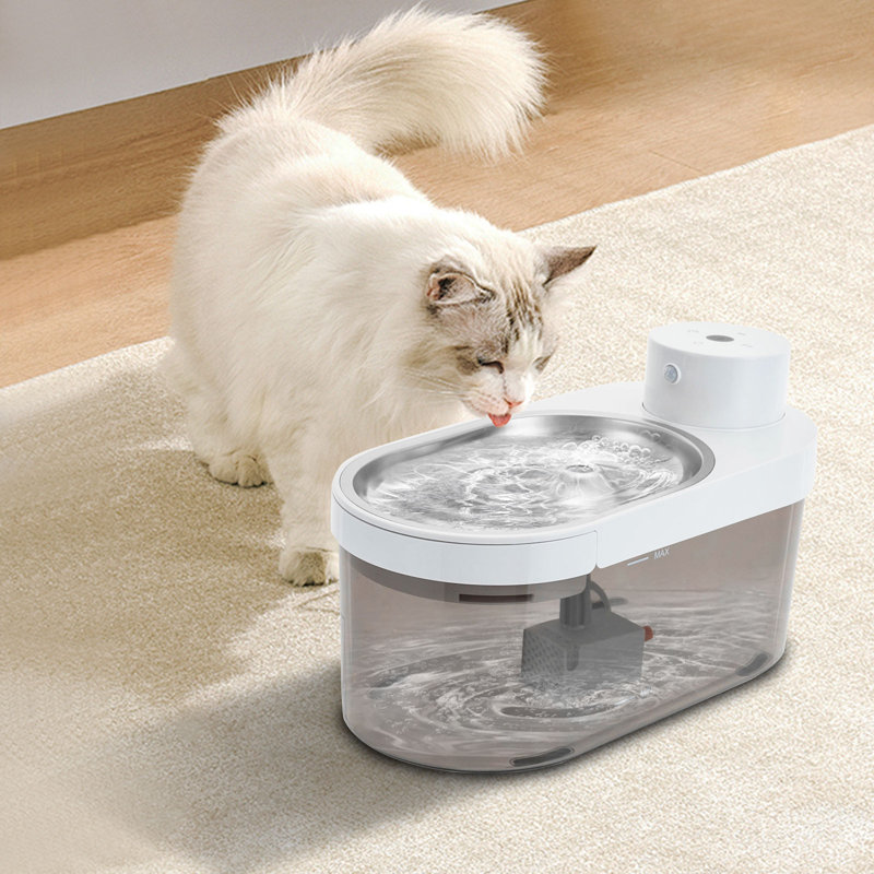 Modern Pet Water Fountain Semi-Clear Cat Drinking Fountain