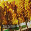Rideau de douche avec 12 crochets Autumn Leaves Lake Garden River-295673187