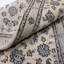Plamedi Oriental Area Rug in Beige