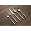 Edianna Stainless Steel Flatware - Set of 20-69943590