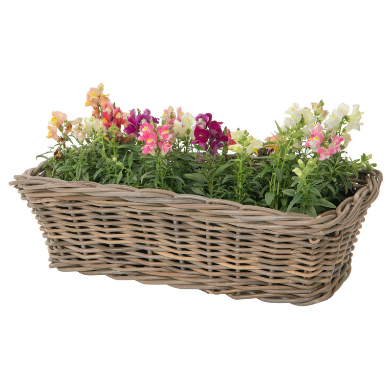 Boîte à fleurs à la main Alshareef
