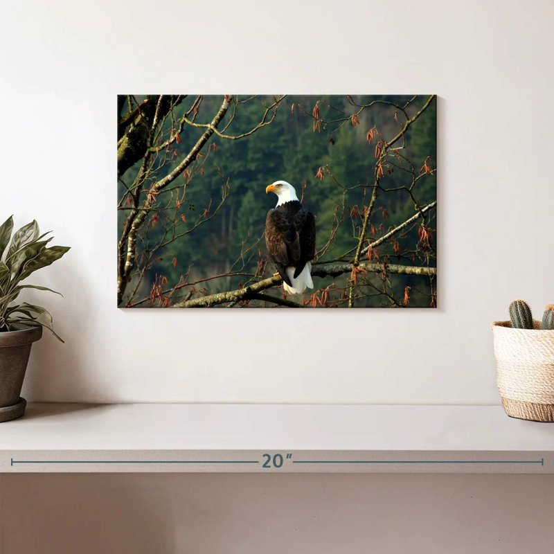 Brampt Perched Canadian Bald Eagle, 8" H x 12" W