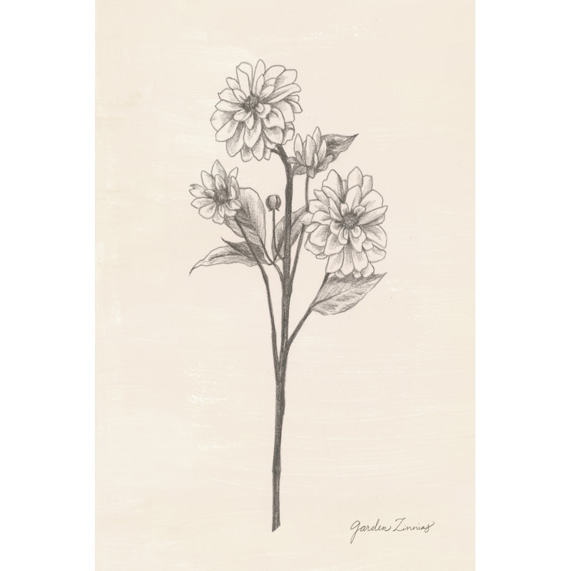 Jardin Zinnias I, H 30 po x l 20 po x P 1 po