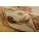 Murph Wool Oriental Indoor Rug