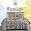 Ensemble de courtepointe surdimensionnée en microfibre surdimensionnée Southri Fine Linens Khari-102551879-102551882