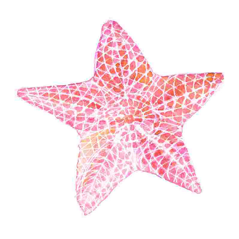 Coral Starfish - Toile tendue, art textuel, H 12 po x l 12 po