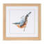 Reproduction d'oiseau encadrée sous verre