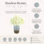 Hydrangeas Arranged in Ceramic Vase-132254124