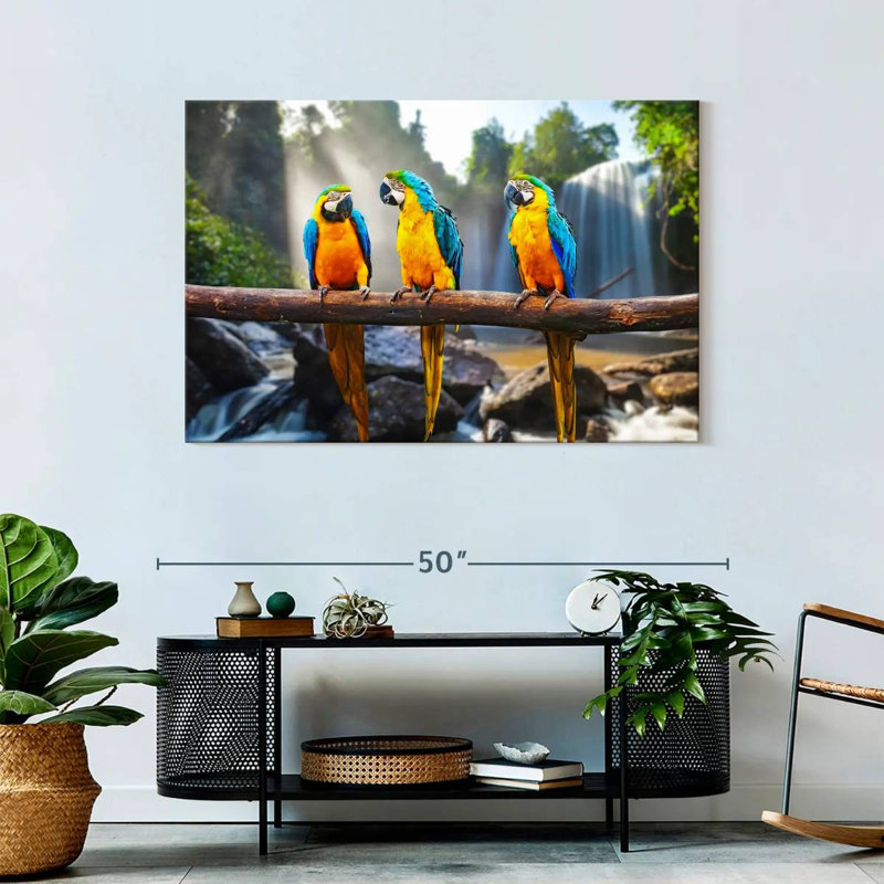 Brampt Macaw Friends, 30" H x 45" W
