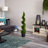 Cypress Spiral Tree-16395562