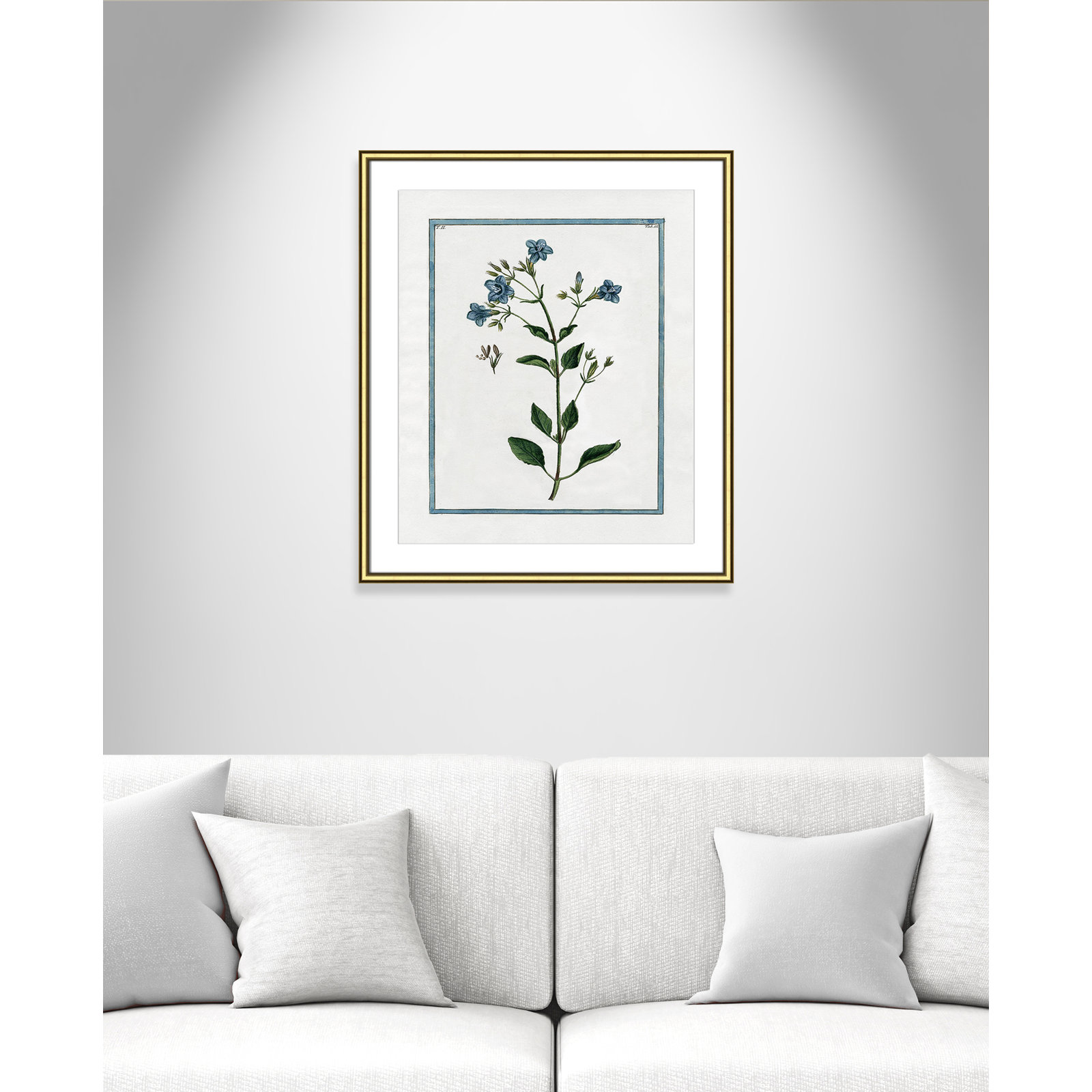 Shabby Elegance Botanical II - Framed Art, Gold Framed, 22.75" W x 26.75" H