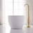 67'' x 31.5'' Freestanding Acrylic Bathtub