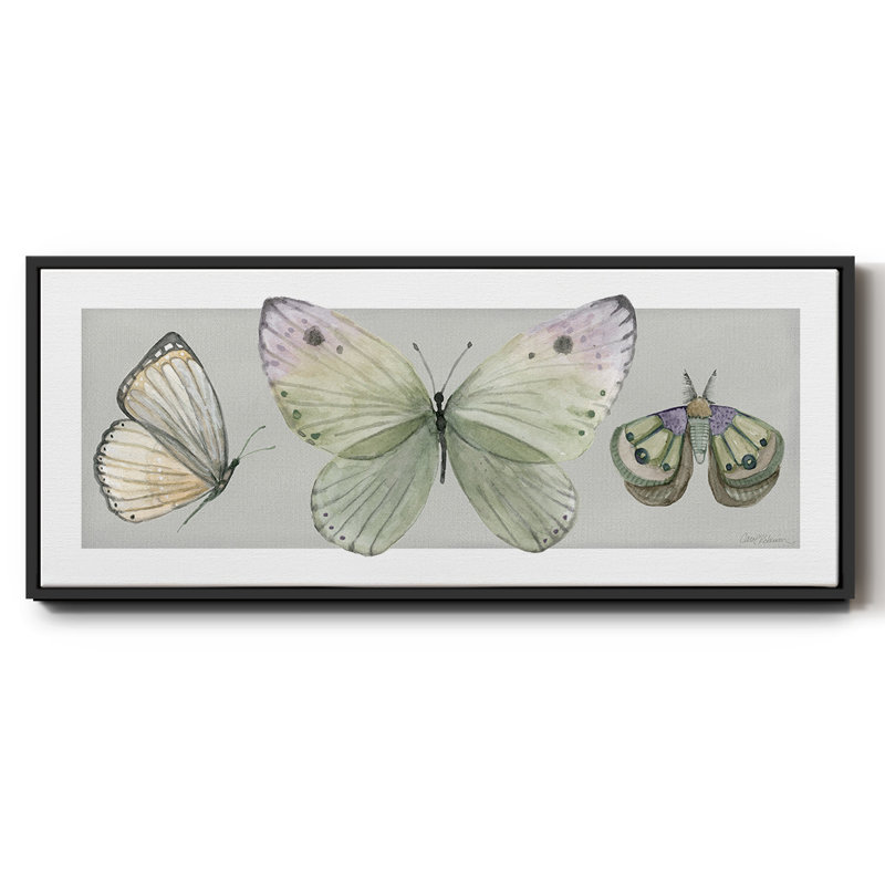 Pretty Insects II- Framed Canvas, 8" H x 20" W