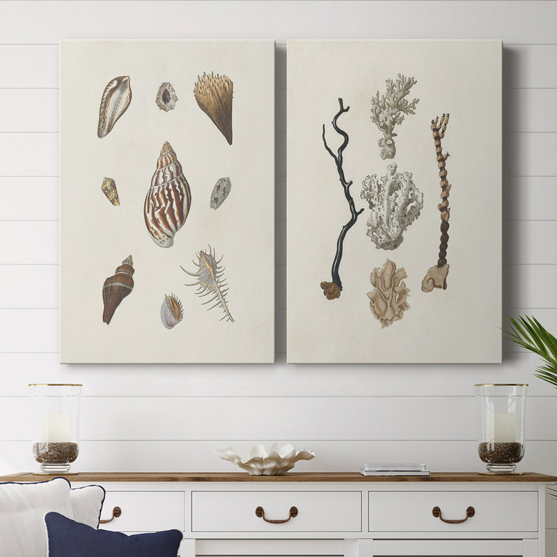Coquillages Knorr et corail - Toile tendue avec châssis de qualité supérieure - Prêt à accrocher
