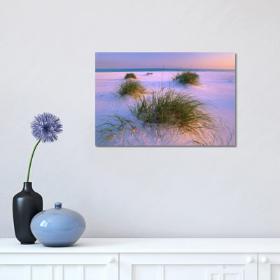 Sea Oats Growing on Beach, Santa Rosa Island, Gulf Islands National Seashore, Florida 1 Piece Wrapped Canvas Wall Art
