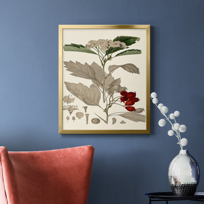 Leaves & Berries I Premium Framed Canvas - Ready to Hang