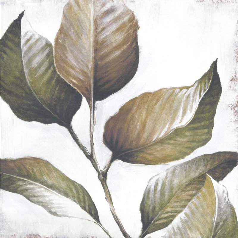 Magnolia Leaves - Wrapped Canvas Painting, 30cm H x 30cm W x 3.8cm D