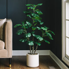 Elements Fiddle Leaf Fig in Ivory Ceramic Pot Farmhouse Faux Greenery  Tabletop Centerpiece Mantel, 20 inch