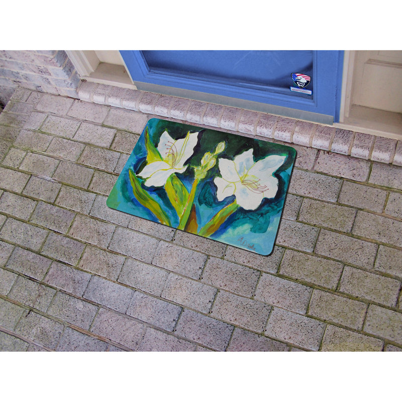Tapis d'entrée antidérapant Lily 26 po x 18 po