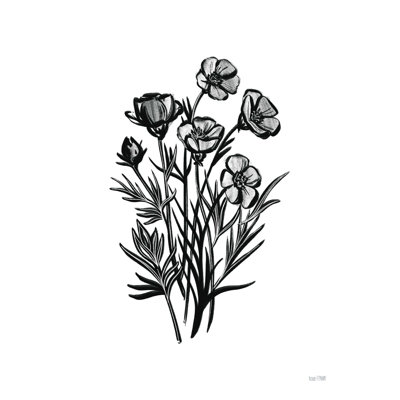 " Pen And Ink Wildflower II "