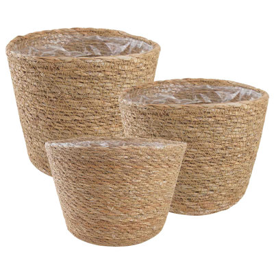 Cashaun Planter