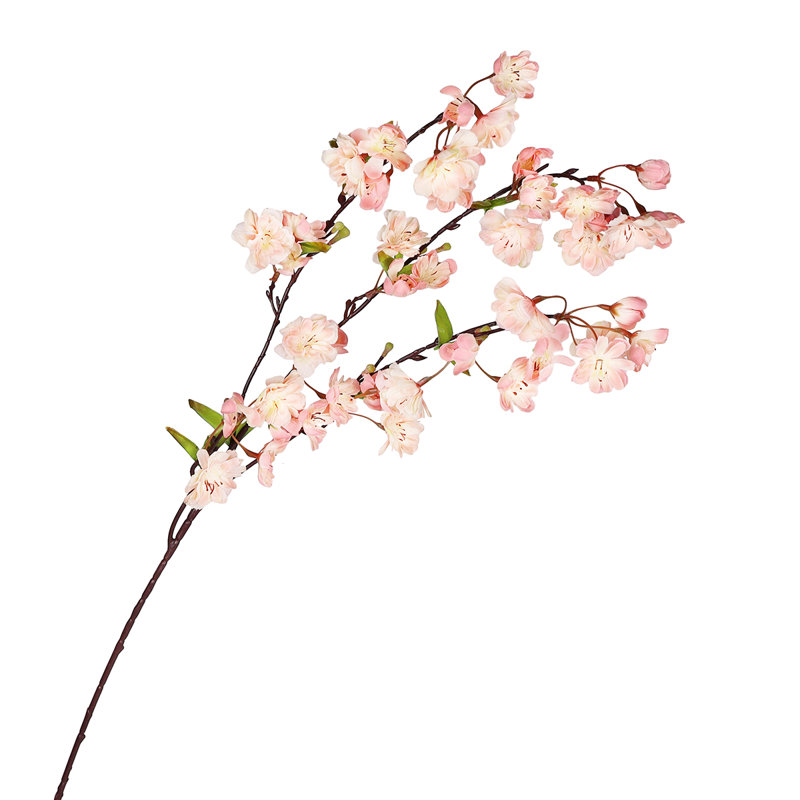 Fleur de cerisier en fleurs, Rosé / pêche