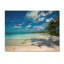 «Tropical Beach with Palm Shadows» de Mattos - reproduction de photo-2014784664-2014784671