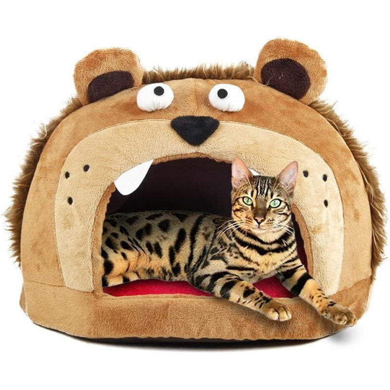 Dôme Danisa Roar Bear