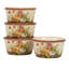 Harvest Blessings 16Pc Dinnerware Set