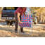 Chaise de camping pliante renforcée sangles-49575279