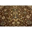Oriental Area Rug-447935872