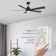 Liandro 60'' Ceiling Fan with Light