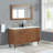 Dondi 54'' Double Bathroom Vanity with Quartz Top